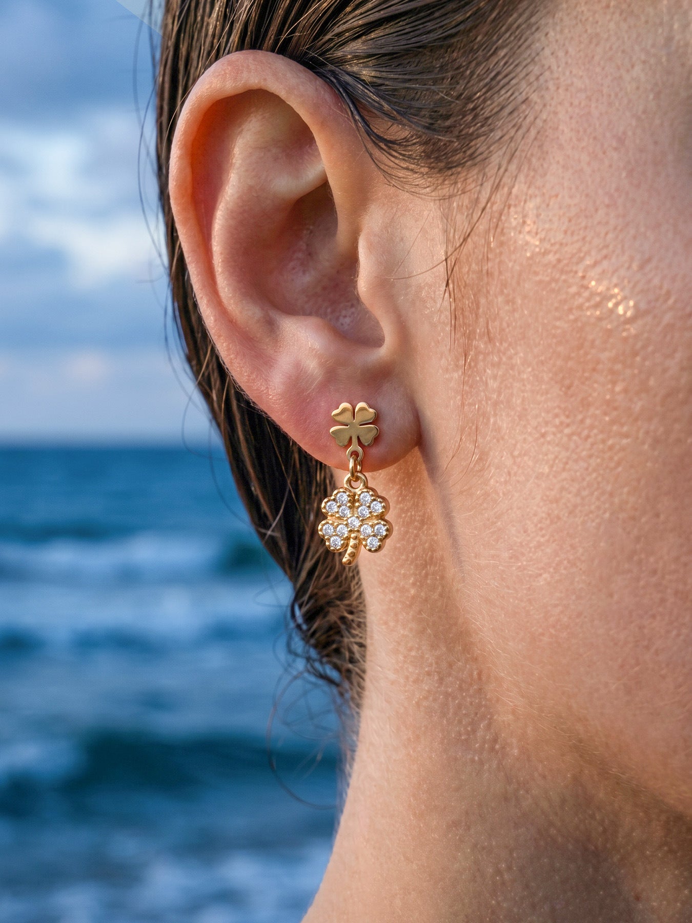 Lucky Charm Drop Earrings