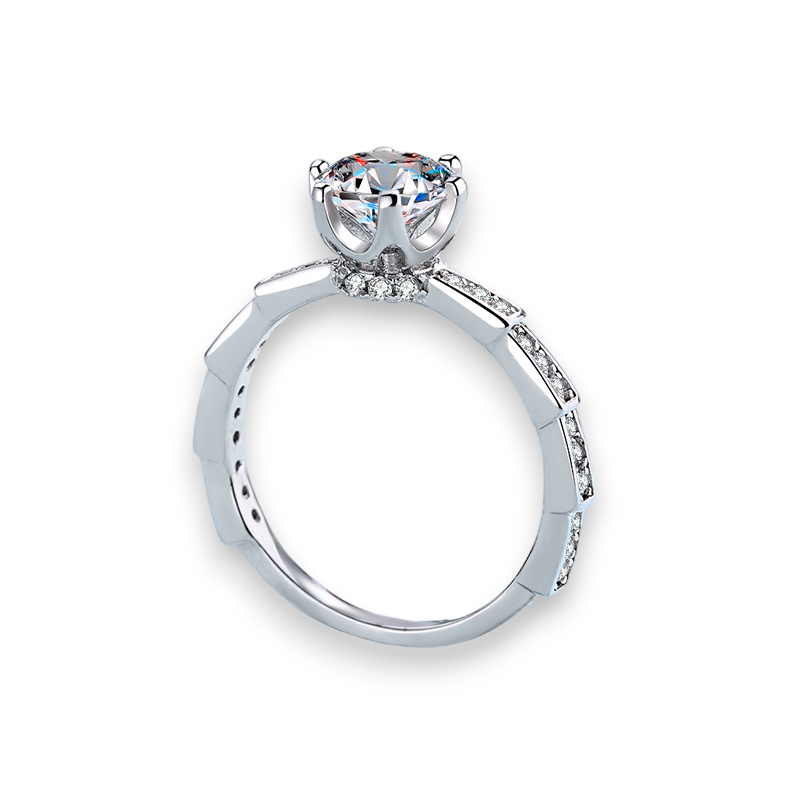 Memory Hidden Halo Round Moissanite Engagement Ring