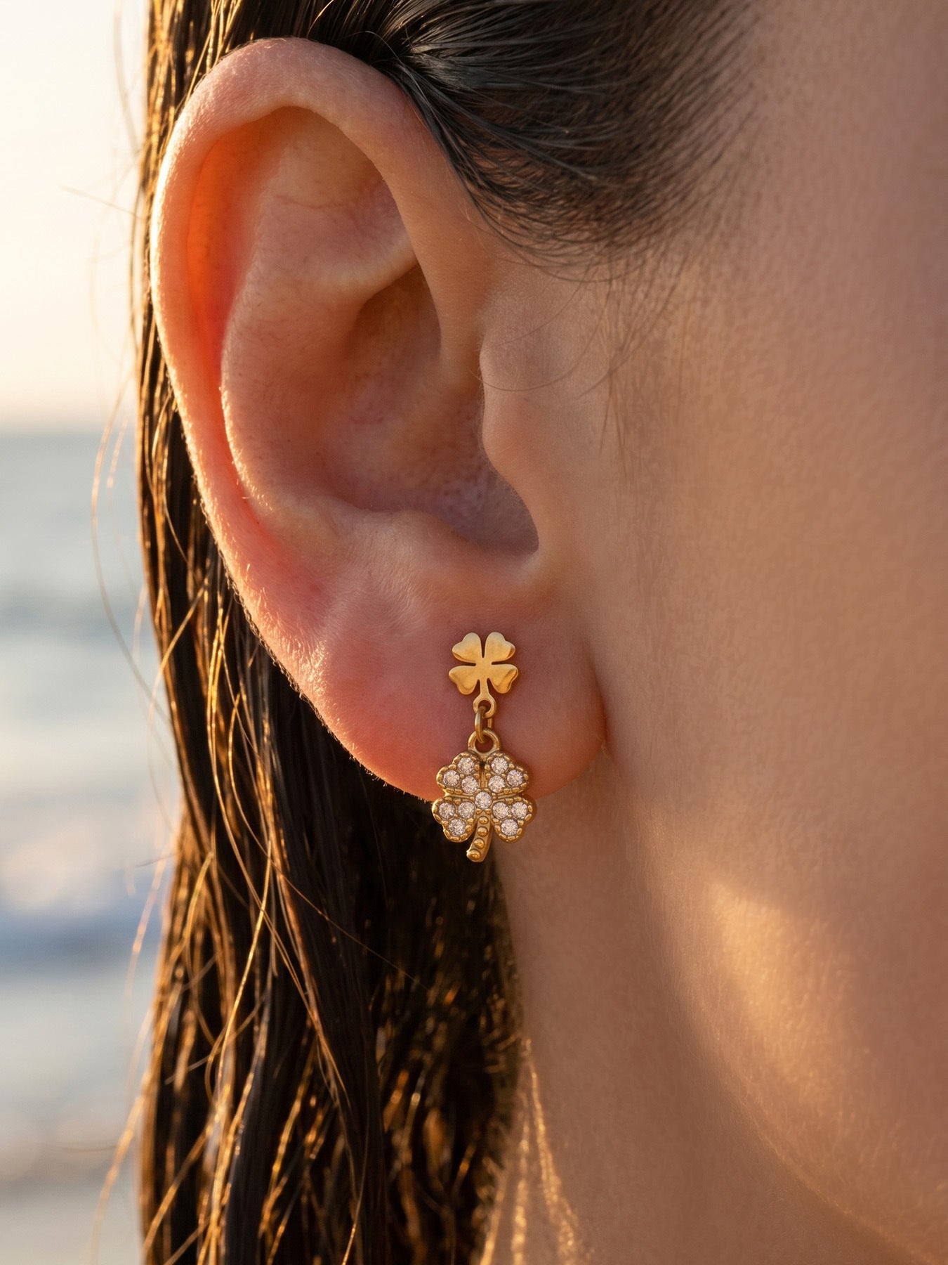 Lucky Charm Drop Earrings